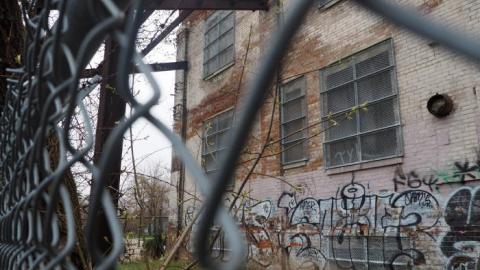 Apr'19 Shooed Away by Security - Linseed-Factory65.jpg