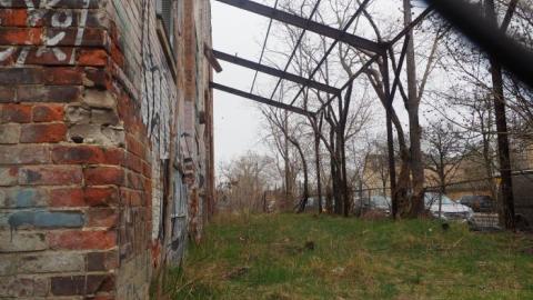 Apr'19 Shooed Away by Security - Linseed-Factory66.jpg