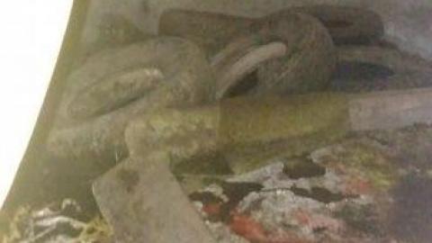 Photo from April 2019