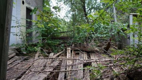 Not Worth The Risk '18 - DSC04875.jpg