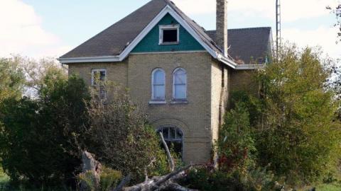 Ironing Crutch Beauty '18 - Pink-Parrots-Pretty-Place15.jpg