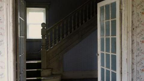 Ironing Crutch Beauty '18 - Pink-Parrots-Pretty-Place17.jpg