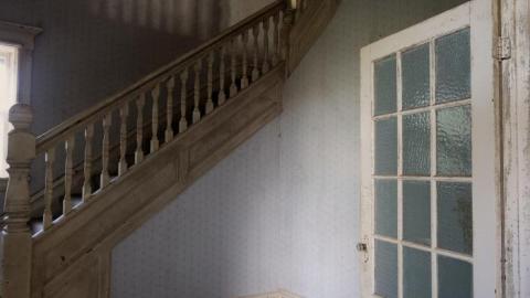 Ironing Crutch Beauty '18 - Pink-Parrots-Pretty-Place18.jpg