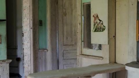 Ironing Crutch Beauty '18 - Pink-Parrots-Pretty-Place19.jpg