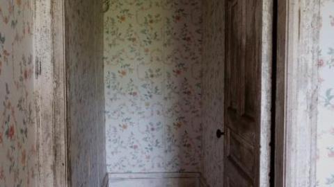 Ironing Crutch Beauty '18 - Pink-Parrots-Pretty-Place23.jpg