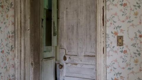 Ironing Crutch Beauty '18 - Pink-Parrots-Pretty-Place26.jpg