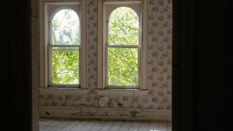 Ironing Crutch Beauty '18 - Pink-Parrots-Pretty-Place30.jpg