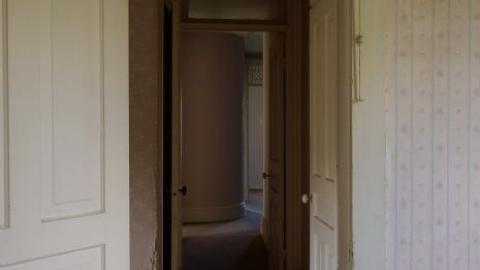 Ironing Crutch Beauty '18 - Pink-Parrots-Pretty-Place31.jpg