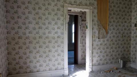 Ironing Crutch Beauty '18 - Pink-Parrots-Pretty-Place34.jpg