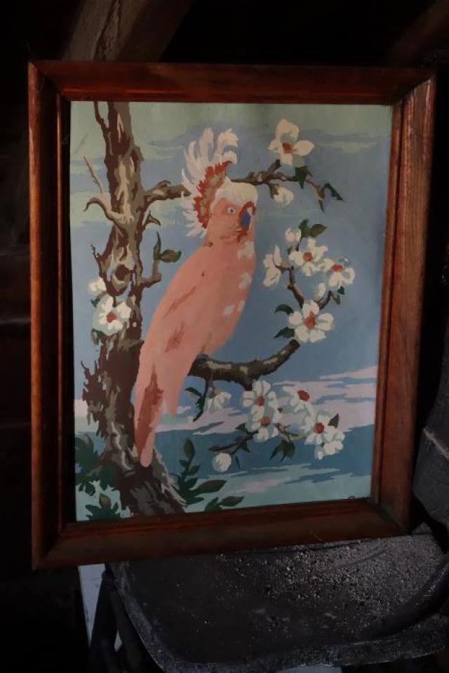 Pink Parrot's Pretty Place - Central Elgin, Ontario