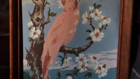 Photo from Ironing Crutch Beauty '18