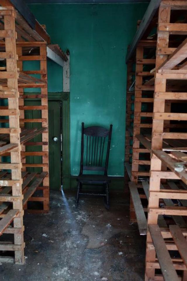 Pink Parrot's Pretty Place photo 2