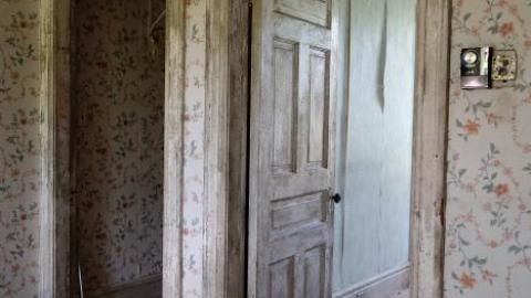 Photo from Ironing Crutch Beauty '18