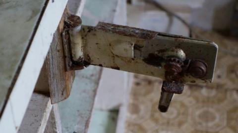 Ironing Crutch Beauty '18 - Pink-Parrots-Pretty-Place45.jpg