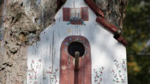 Ironing Crutch Beauty '18 - Pink-Parrots-Pretty-Place47.jpg