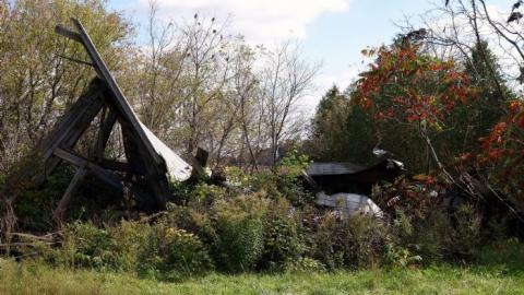 Ironing Crutch Beauty '18 - Pink-Parrots-Pretty-Place48.jpg