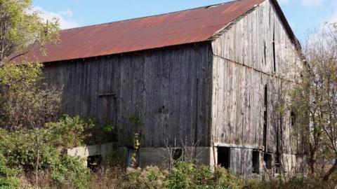 Ironing Crutch Beauty '18 - Pink-Parrots-Pretty-Place49.jpg