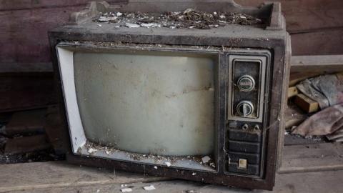 Ironing Crutch Beauty '18 - Pink-Parrots-Pretty-Place52.jpg