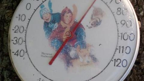 Ironing Crutch Beauty '18 - Pink-Parrots-Pretty-Place13.jpg