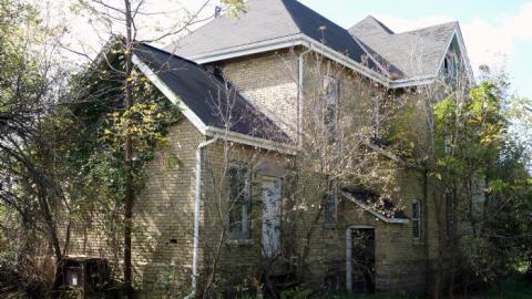 Ironing Crutch Beauty '18 - Pink-Parrots-Pretty-Place14.jpg