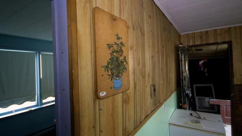 Franklin Blue - Toronto, Ontario