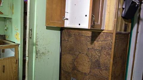 Franklin Blue photo 4