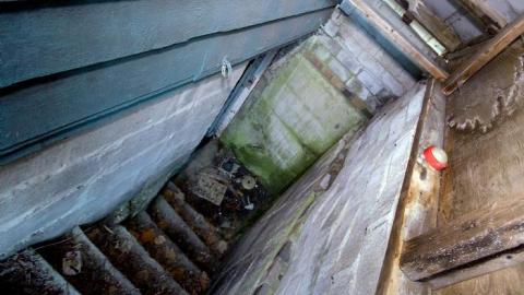 Franklin Blue photo 3