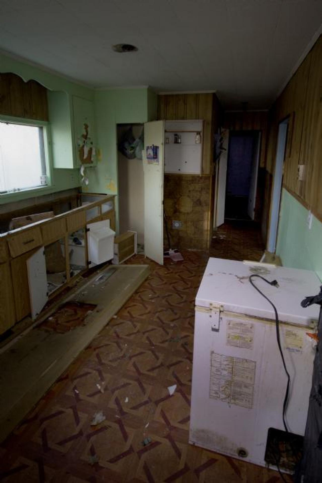 Franklin Blue - vtIMG_2296s.jpg