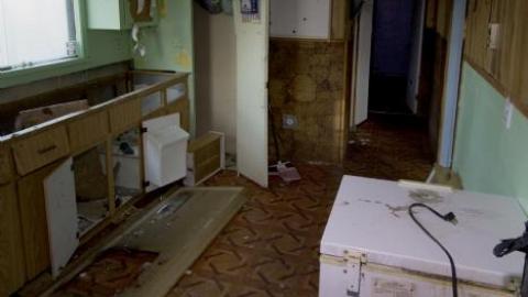 Franklin Blue photo 5