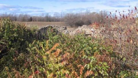 Top of Blue - Top-of-Blue14.jpg