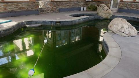 Toxic Green Swim '19 - London-Ontario-Party-Mansion94.jpg