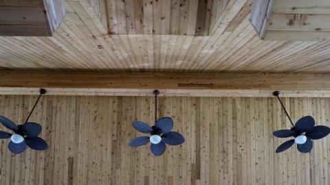 Toxic Green Swim '19 - London-Ontario-Party-Mansion97.jpg