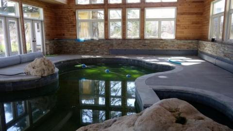 Toxic Green Swim '19 - London-Ontario-Party-Mansion98.jpg