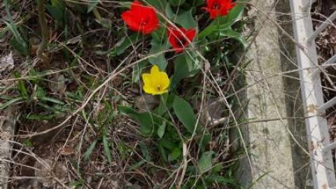 Toxic Green Swim '19 - London-Ontario-Party-Mansion88.jpg