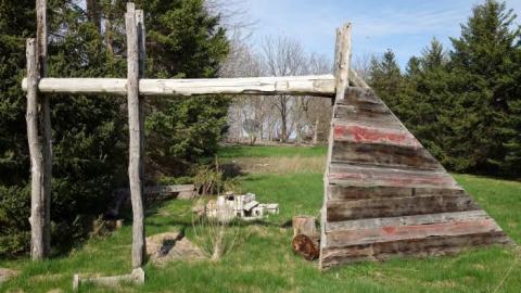 Toxic Green Swim '19 - London-Ontario-Party-Mansion92.jpg