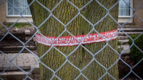 Whole Street of Empty Houses photo 5