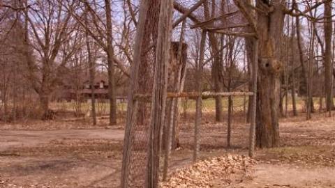 Second School - S.S.-No.-9-Oro5.jpg