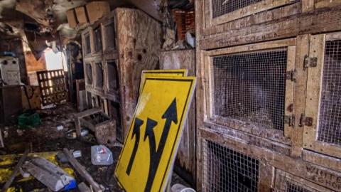 House Wreck - IMG_2402s.jpg