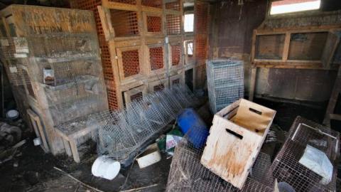 House Wreck - IMG_2416s.jpg