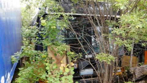 Caledon' Forgotten Bus Service - Caledons-Forgotten-Bus-Service...4.jpg