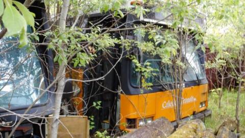 Caledon's Forgotten Bus Service... photo 4