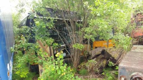 Caledon's Forgotten Bus Service... photo 3