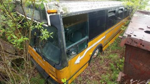 Caledon's Forgotten Bus Service... photo 2