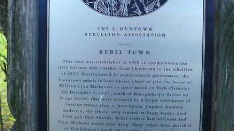 Rebel trail - Rebel-Trail5.jpg