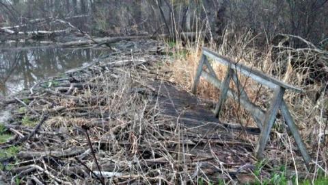 Old Summer Camp & Wading Pool - Abandoned-Wading-Pool6.jpg