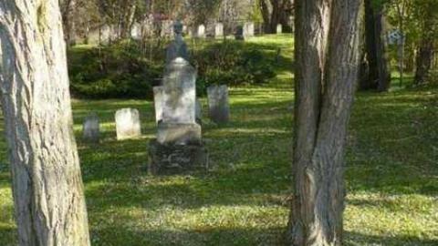 Photo from Rebel trail