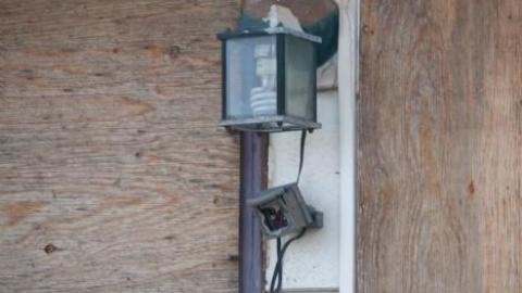 April 2019 - IMG_5961.jpg