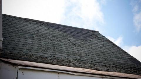 April 2019 - IMG_5967.jpg