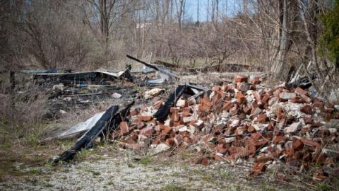 April 2019 - IMG_5968.jpg