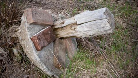 April 2019 - IMG_5970.jpg